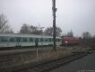 Seite 79-3