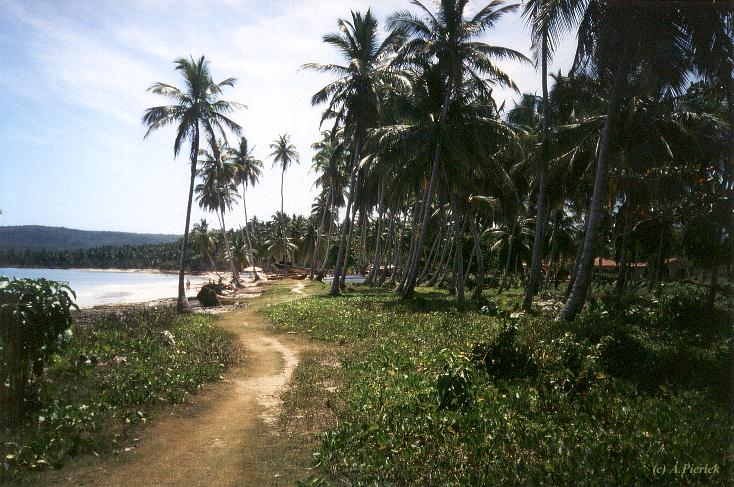 Bucht Las Galeras